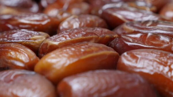 Dates Fruit