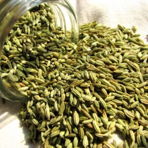Fennel-versatile vegetable
