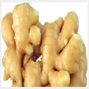 Ginger