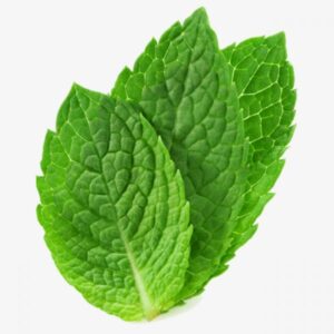 Mint Leaves