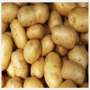 Fresh Potato