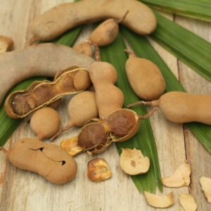 Tamarind