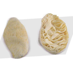 Frozen Beef Omasum
