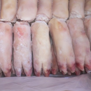 Frozen Pig Feet
