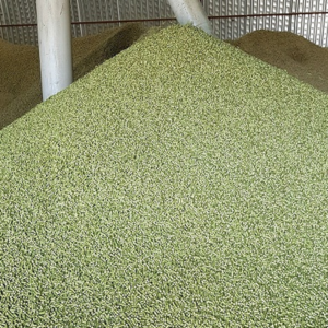 Hay Pellets