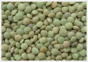 Lentils