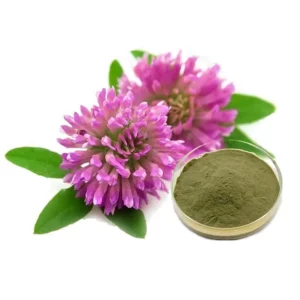 Trifolium Pratense Flower Extract