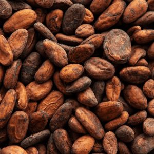 Wholesale Cocoa Beans Suppliers
