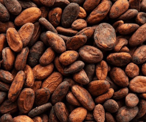 Wholesale Cocoa Beans Suppliers