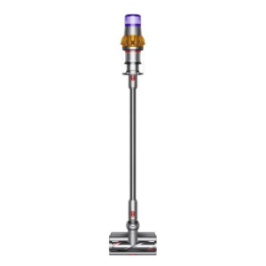 Dyson v15 detect absolute